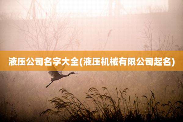 液压公司名字大全(液压机械有限公司起名)