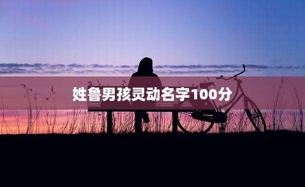 姓鲁男孩灵动名字100分