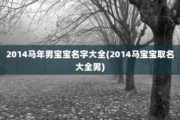 2014马年男宝宝名字大全(2014马宝宝取名大全男)