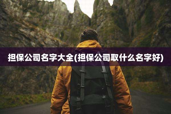 担保公司名字大全(担保公司取什么名字好)