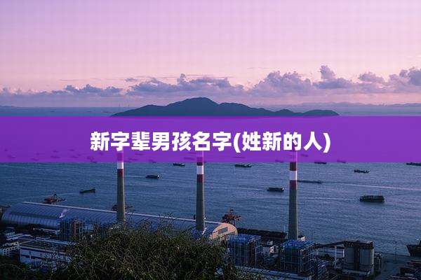 新字辈男孩名字(姓新的人)