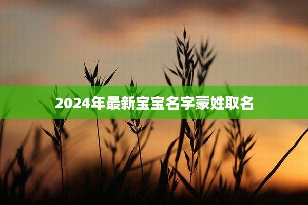 2024年最新宝宝名字蒙姓取名
