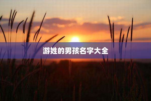 游姓的男孩名字大全