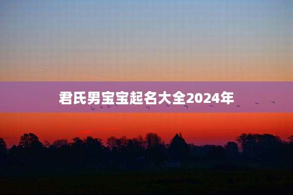 君氏男宝宝起名大全2024年