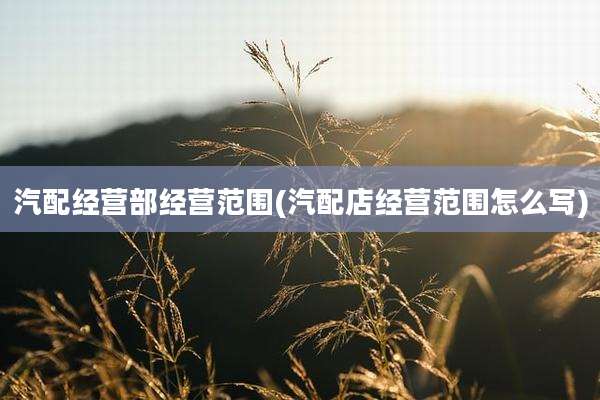 汽配经营部经营范围(汽配店经营范围怎么写)