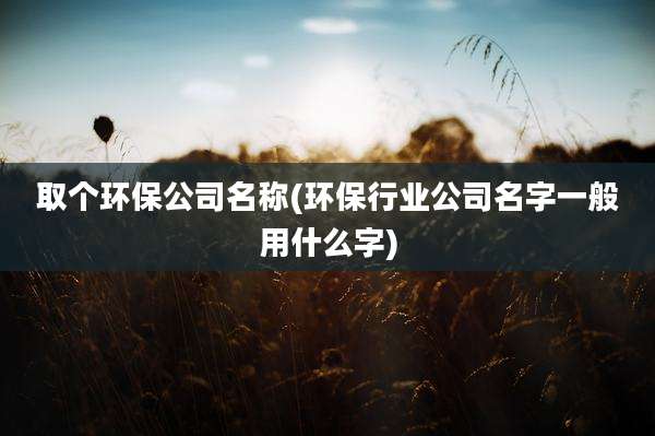 取个环保公司名称(环保行业公司名字一般用什么字)