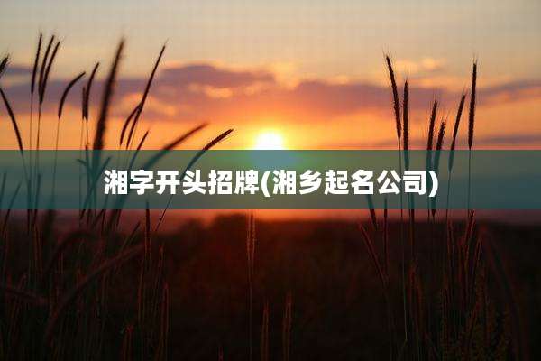 湘字开头招牌(湘乡起名公司)
