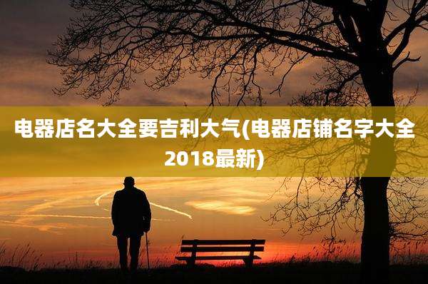 电器店名大全要吉利大气(电器店铺名字大全2018最新)