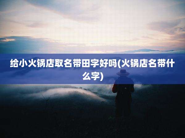 给小火锅店取名带田字好吗(火锅店名带什么字)
