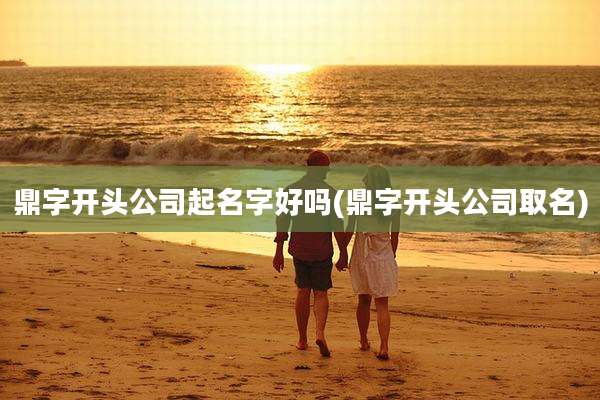 鼎字开头公司起名字好吗(鼎字开头公司取名)