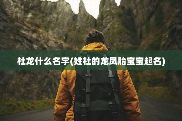 杜龙什么名字(姓杜的龙凤胎宝宝起名)