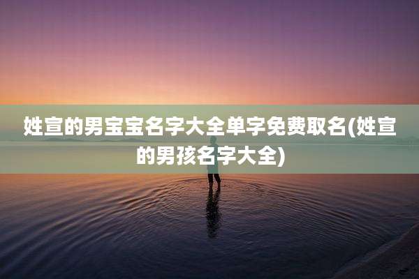 姓宣的男宝宝名字大全单字免费取名(姓宣的男孩名字大全)