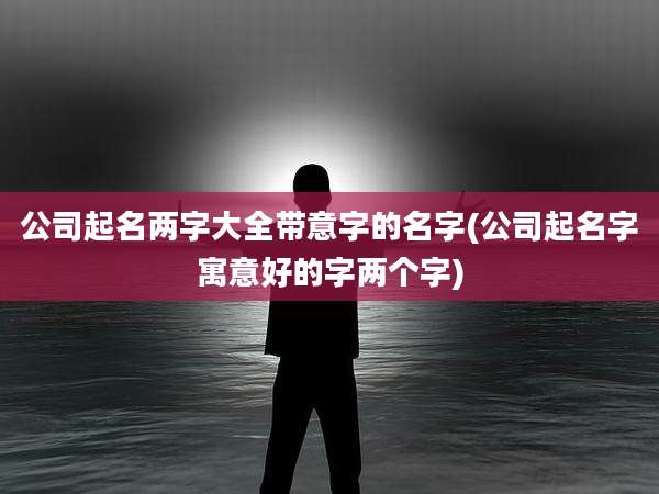 公司起名两字大全带意字的名字(公司起名字寓意好的字两个字)