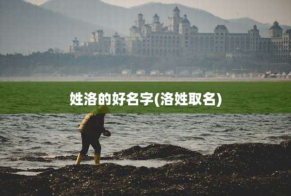 姓洛的好名字(洛姓取名)