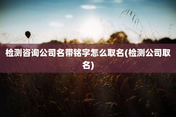 检测咨询公司名带铭字怎么取名(检测公司取名)