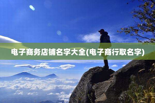 电子商务店铺名字大全(电子商行取名字)