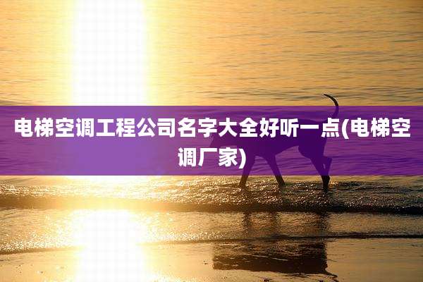 电梯空调工程公司名字大全好听一点(电梯空调厂家)
