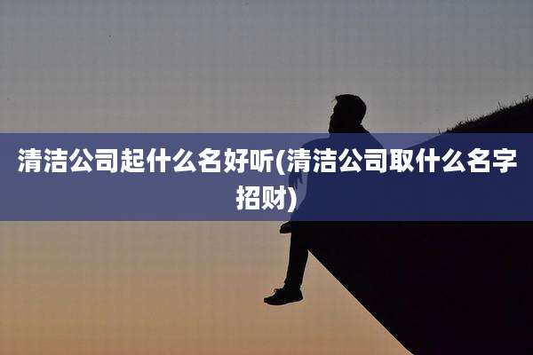 清洁公司起什么名好听(清洁公司取什么名字招财)