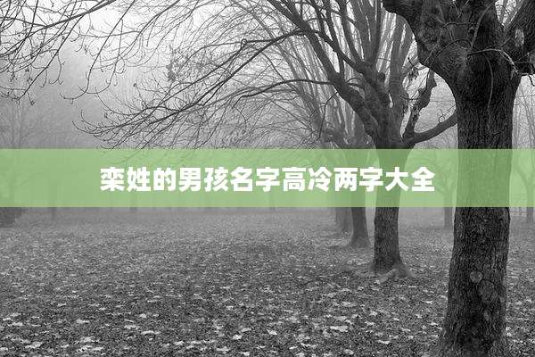 栾姓的男孩名字高冷两字大全