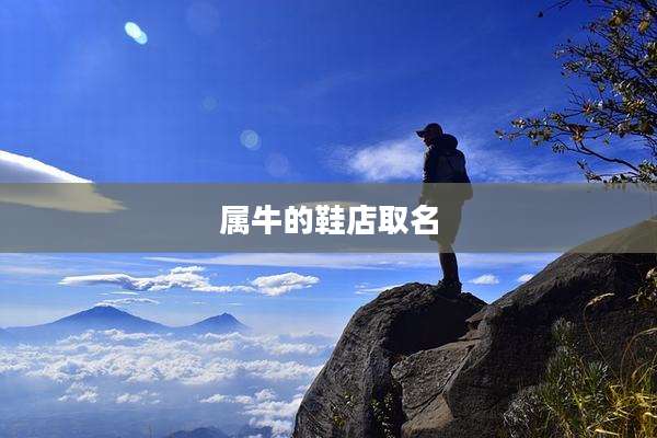 属牛的鞋店取名