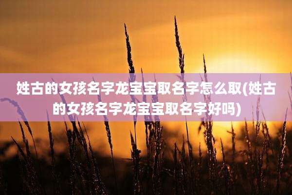 姓古的女孩名字龙宝宝取名字怎么取(姓古的女孩名字龙宝宝取名字好吗)