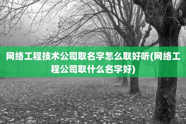 网络工程技术公司取名字怎么取好听(网络工程公司取什么名字好)
