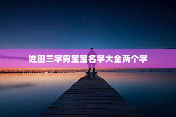 姓田三字男宝宝名字大全两个字