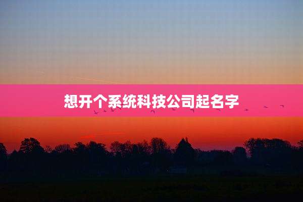 想开个系统科技公司起名字