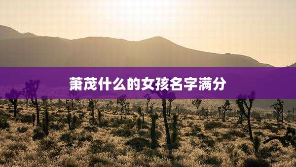 萧茂什么的女孩名字满分