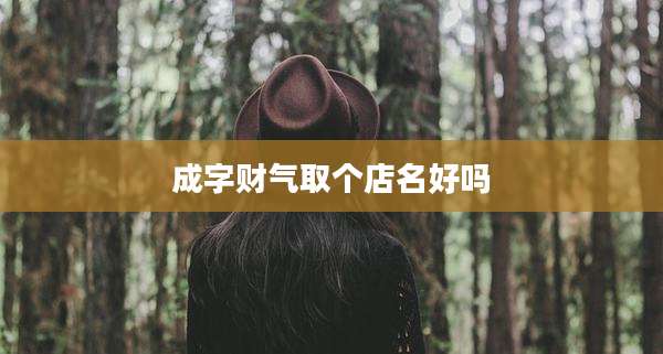 成字财气取个店名好吗