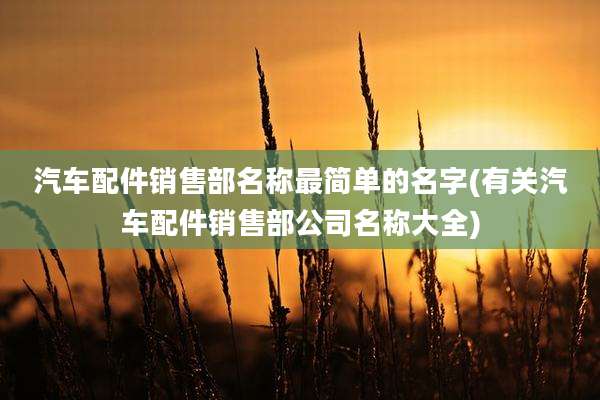 汽车配件销售部名称最简单的名字(有关汽车配件销售部公司名称大全)