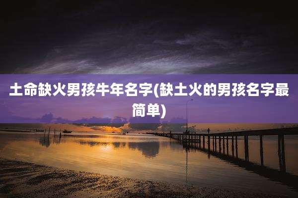 土命缺火男孩牛年名字(缺土火的男孩名字最简单)