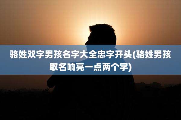 骆姓双字男孩名字大全忠字开头(骆姓男孩取名响亮一点两个字)