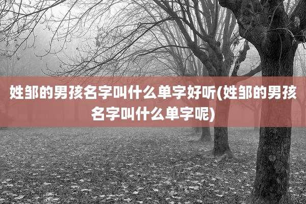 姓邹的男孩名字叫什么单字好听(姓邹的男孩名字叫什么单字呢)