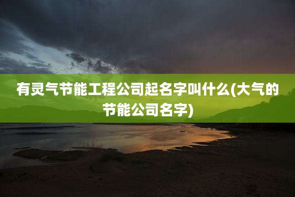 有灵气节能工程公司起名字叫什么(大气的节能公司名字)