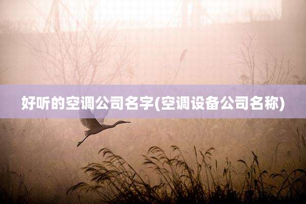 好听的空调公司名字(空调设备公司名称)
