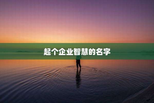 起个企业智慧的名字