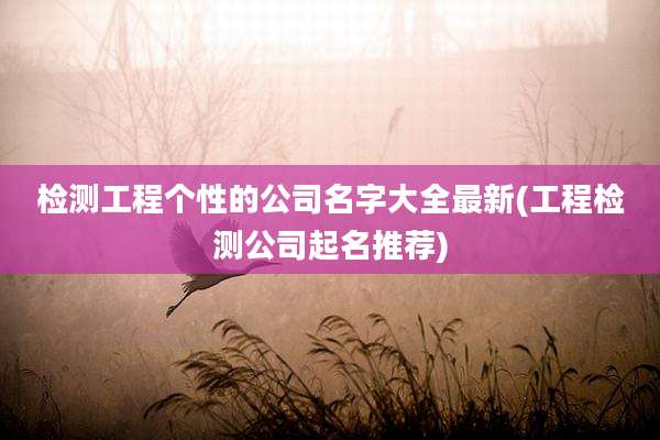 检测工程个性的公司名字大全最新(工程检测公司起名推荐)