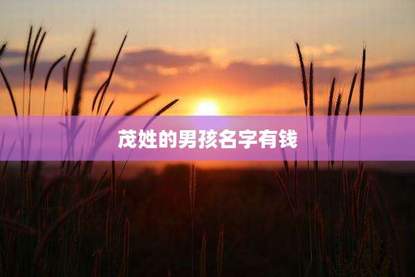 茂姓的男孩名字有钱
