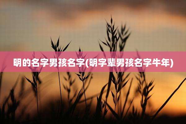 明的名字男孩名字(明字辈男孩名字牛年)