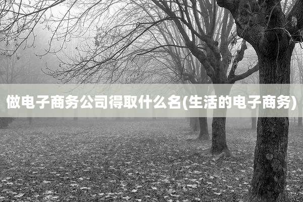 做电子商务公司得取什么名(生活的电子商务)