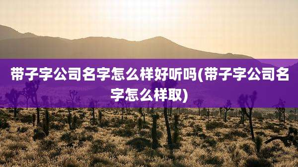 带子字公司名字怎么样好听吗(带子字公司名字怎么样取)