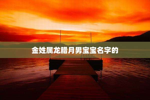 金姓属龙腊月男宝宝名字的