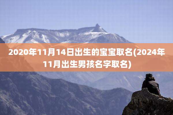 2020年11月14日出生的宝宝取名(2024年11月出生男孩名字取名)