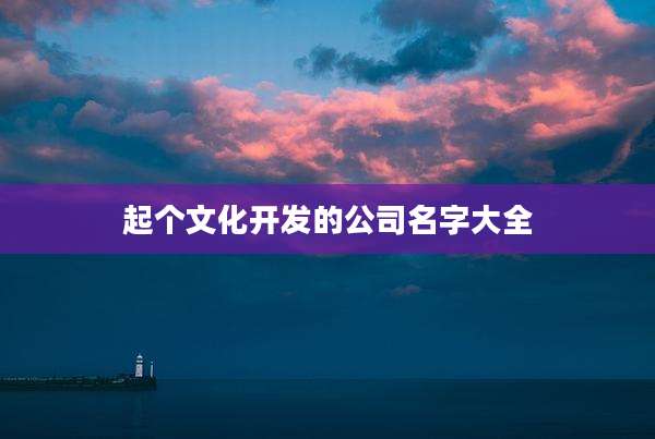 起个文化开发的公司名字大全