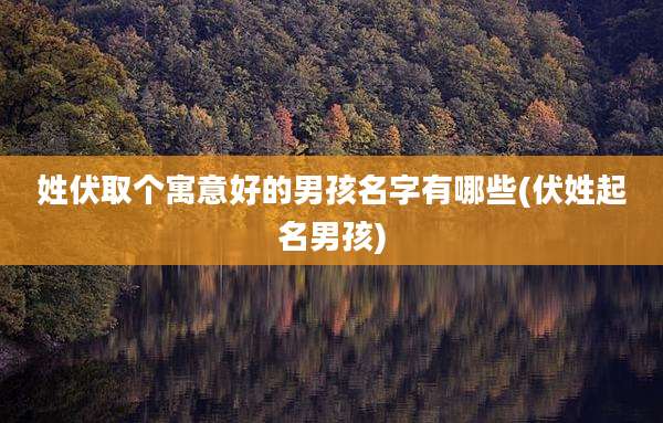 姓伏取个寓意好的男孩名字有哪些(伏姓起名男孩)