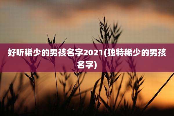 好听稀少的男孩名字2021(独特稀少的男孩名字)