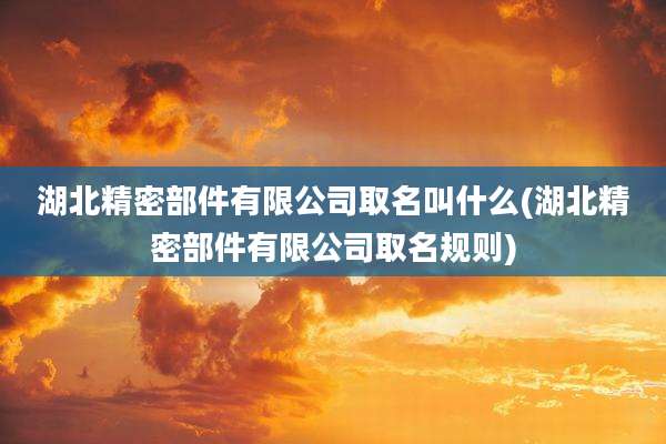 湖北精密部件有限公司取名叫什么(湖北精密部件有限公司取名规则)