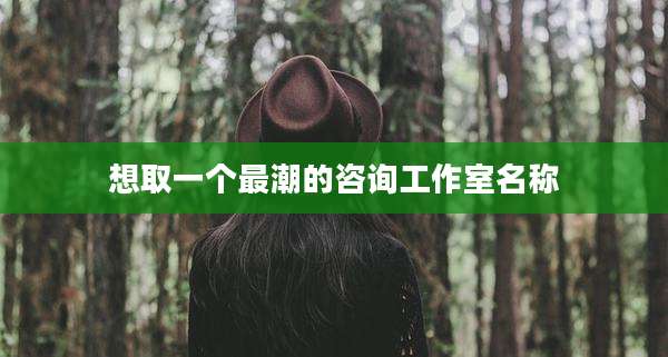 想取一个最潮的咨询工作室名称