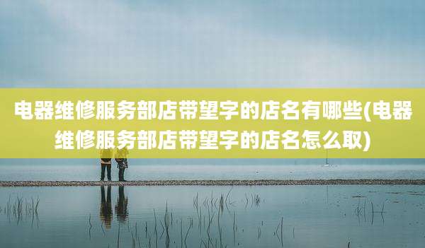 电器维修服务部店带望字的店名有哪些(电器维修服务部店带望字的店名怎么取)